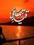 Waqas Q...