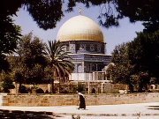 نسر العروبه