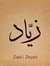 Mohamed...