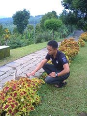 Syaiful Amri