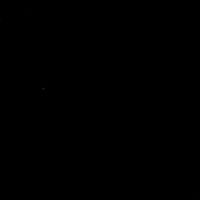 Abdelrahman Elgammal