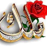 مالك المالكي