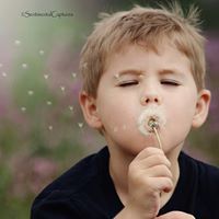 Sentimental Captures