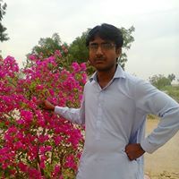 Ali Dars