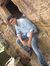 Rk Mishra