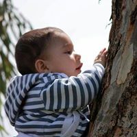 Bushra Farraj