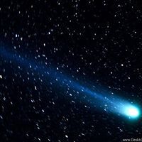 يوسف ابن أبي يوسف