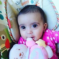 أحمد الشريف