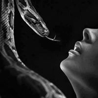 Drnermeen Saad eldeen