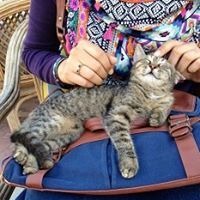 Omnya Abdelbaky