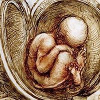 Astrid Teschke Franz