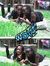 Aishat ...