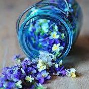 محمد دويدار