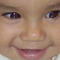 Hesham Sadek