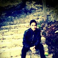 Pralin Baral