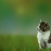 Sriraksha Krishnamurthy