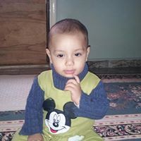 محمد البدوى