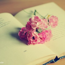 أحلام خليفة