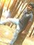 Selva P...