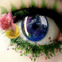 أ.هناء شحاده