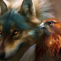 Wolf Ladyhawk