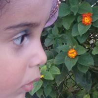 ابوسلمى ابوسلمى