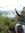 Agung S...