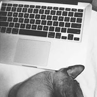 Христо Панайотов