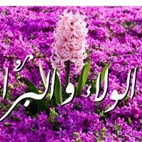 Mohamed ɐʞıssǝɯ