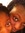Temi Oladeji | 2 comments