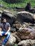 Mohit M...