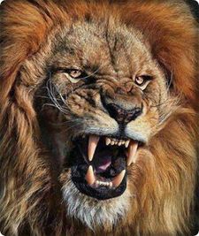 وليد الجعفرى