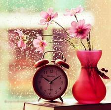 Heba El-hussainy ʚɞ