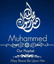 Mohamed Shoukry