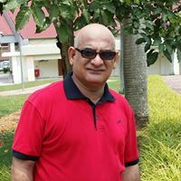 اياد الشيباني