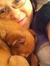 Raeanna