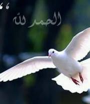 عذرآء الحكآيآ