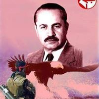 النسر الجارح