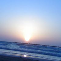 ممدوح الجمل