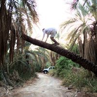 Muhammad Hazem