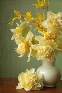 Basma Ahmed