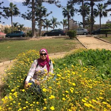 Darine Mamdouh