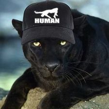 Queen Veronica ShaRize