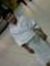 Abdulra...