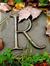Ritesh ...