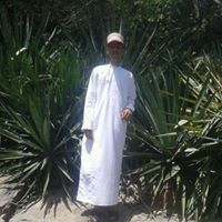 محمد البداعي البداعي