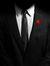 Mostafa...
