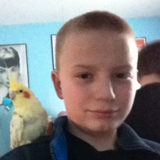 Adam Bedel