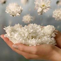 اجراس الرحيل