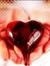 Hamid N...